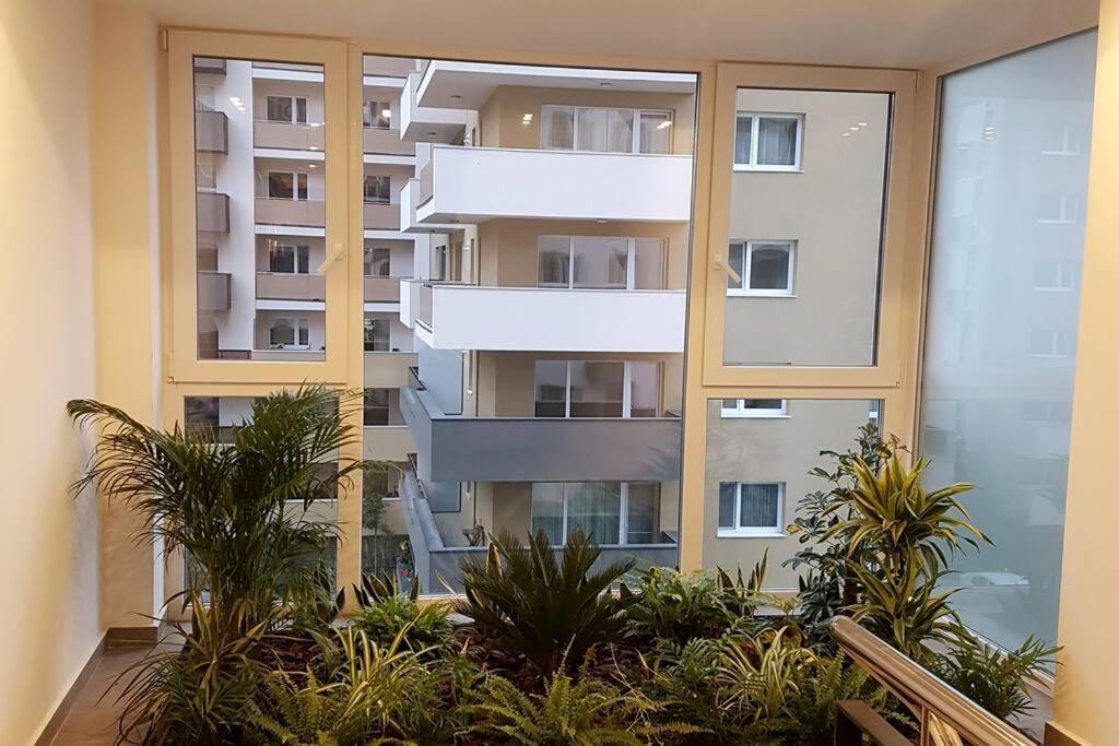Wonderful Apartment